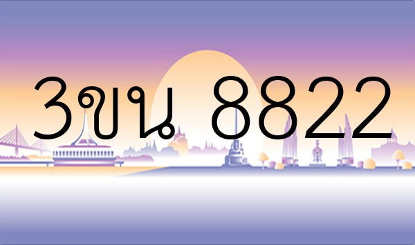3ขน 8822
